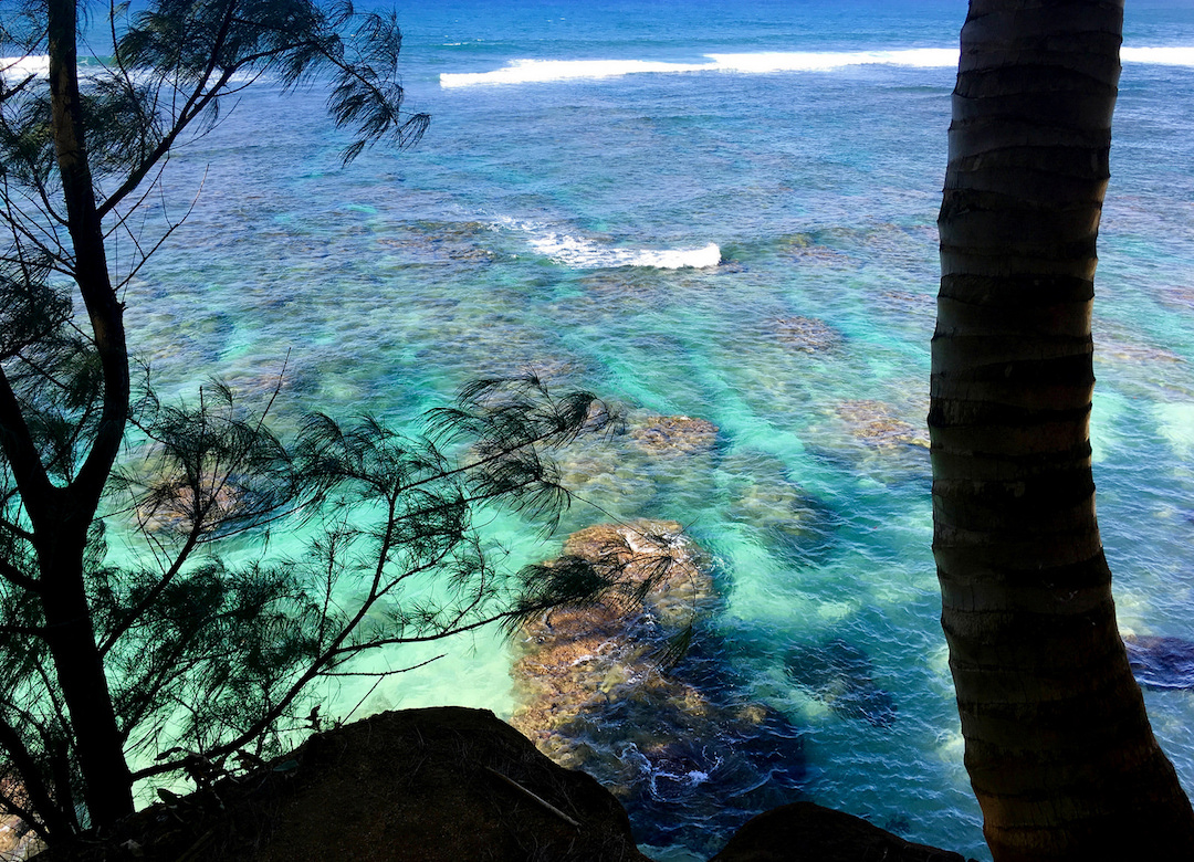 Discover Paradise: Hawaii's Kauai Island
