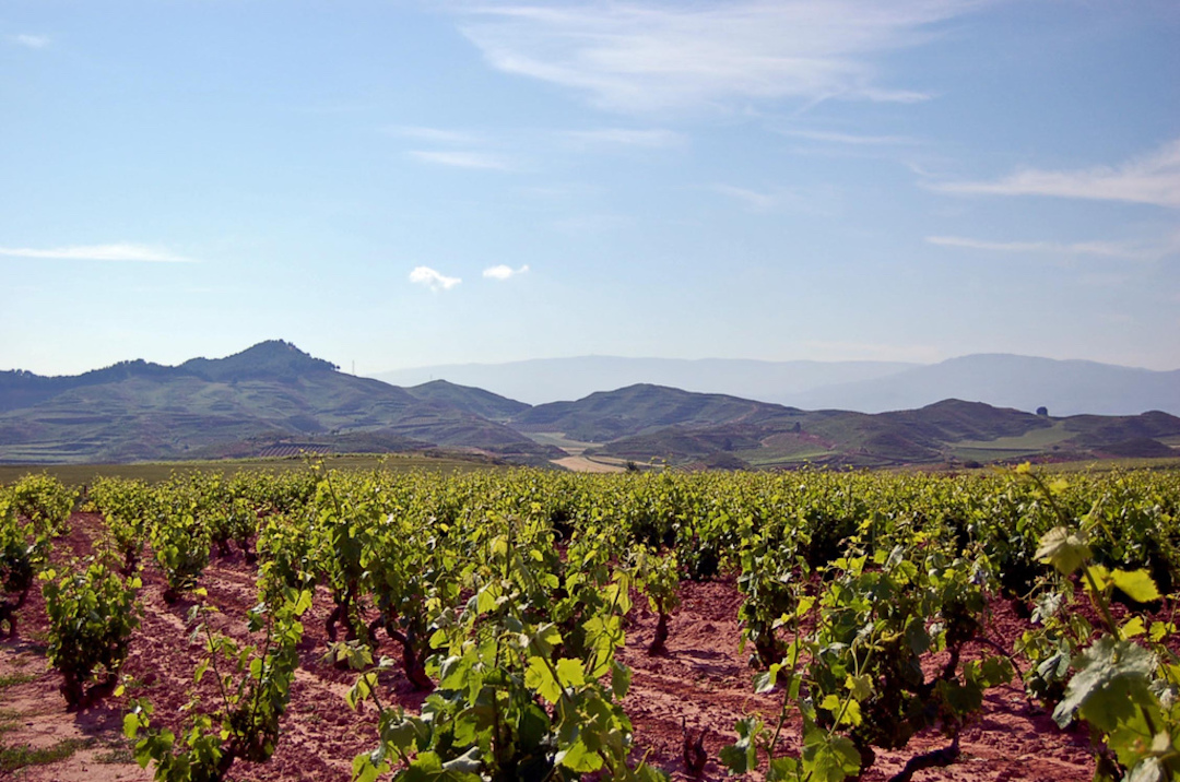 Spain-Wine