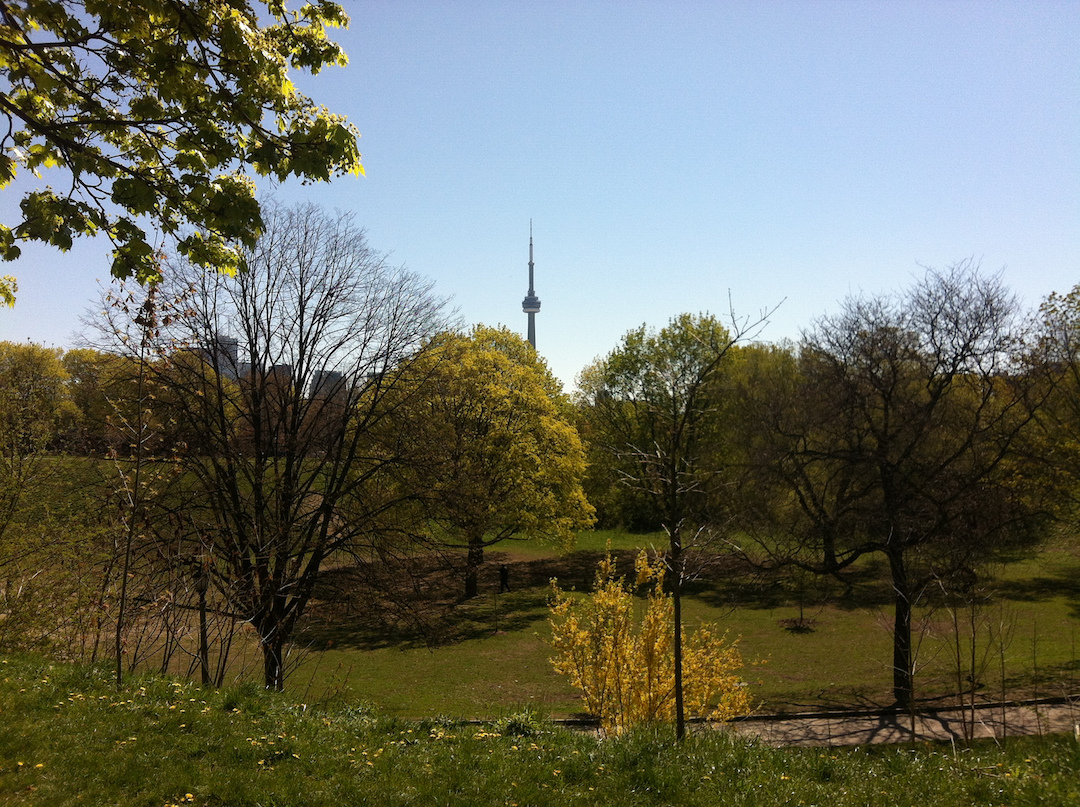 Trinity-Bellwoods-Toronto