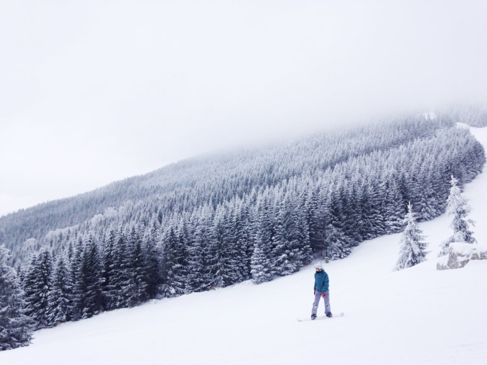 Humbled By Whistler