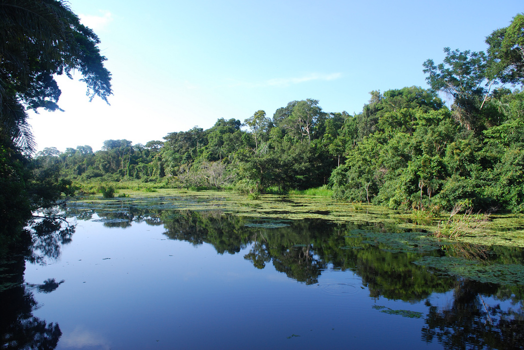 Amazon-Jungle-Waterway