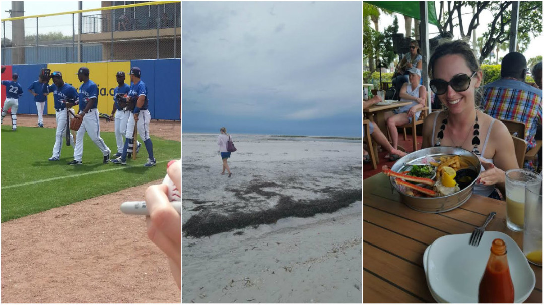 collagespringtraining