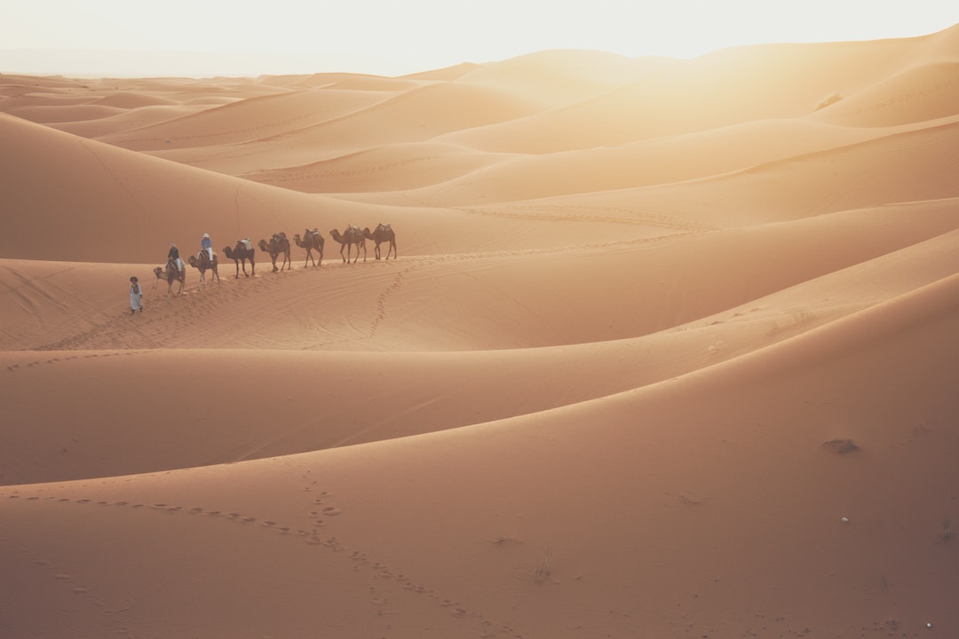 Group of people riding camels in the Sahara Desert
