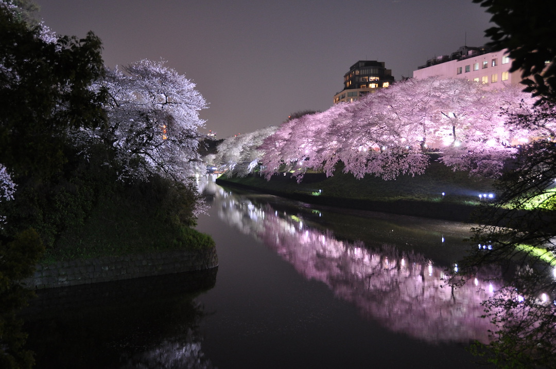 Tips, Tricks, Do’s and Dont’s When Travelling to Japan