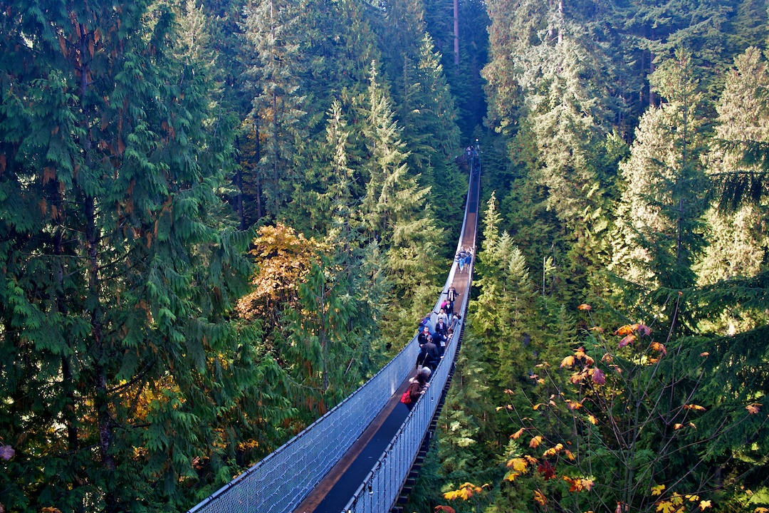Photo credit: Bryan Garnett-Law via Visualhunt / CC BY-ND