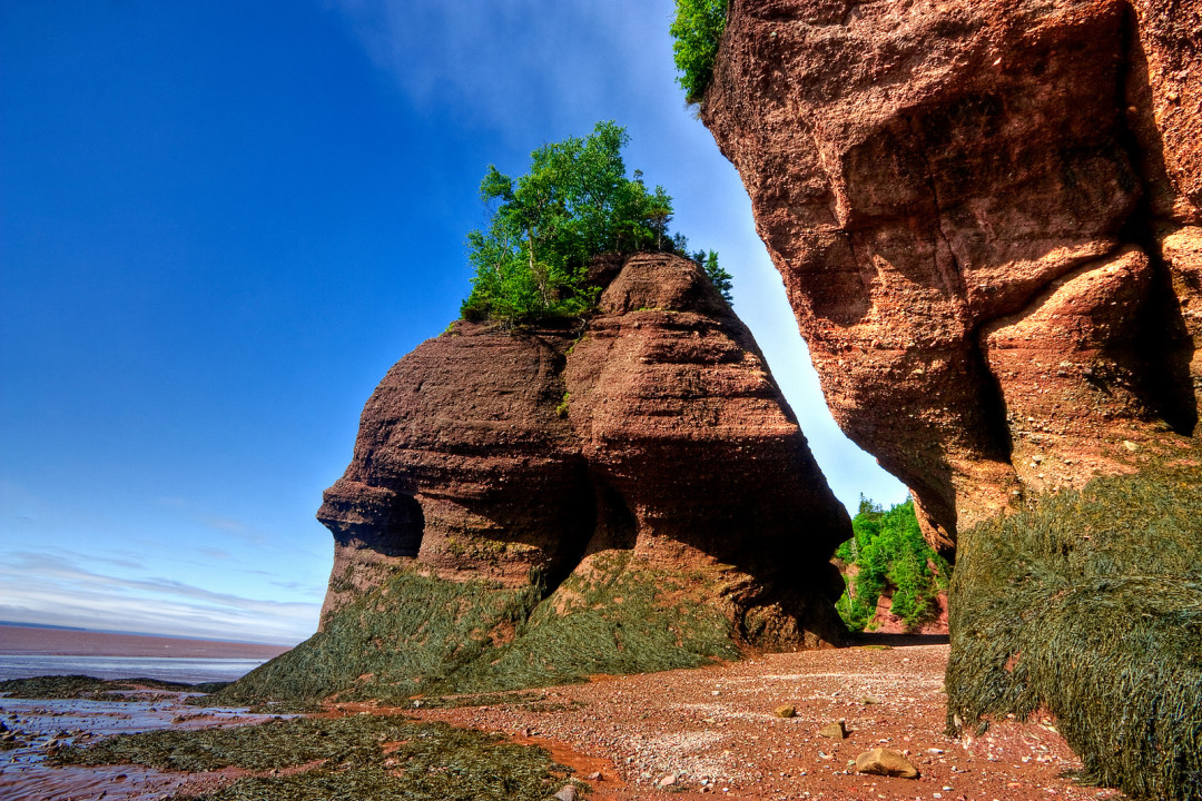 bayoffundy
