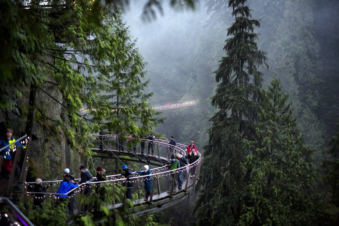 capilanosuspension