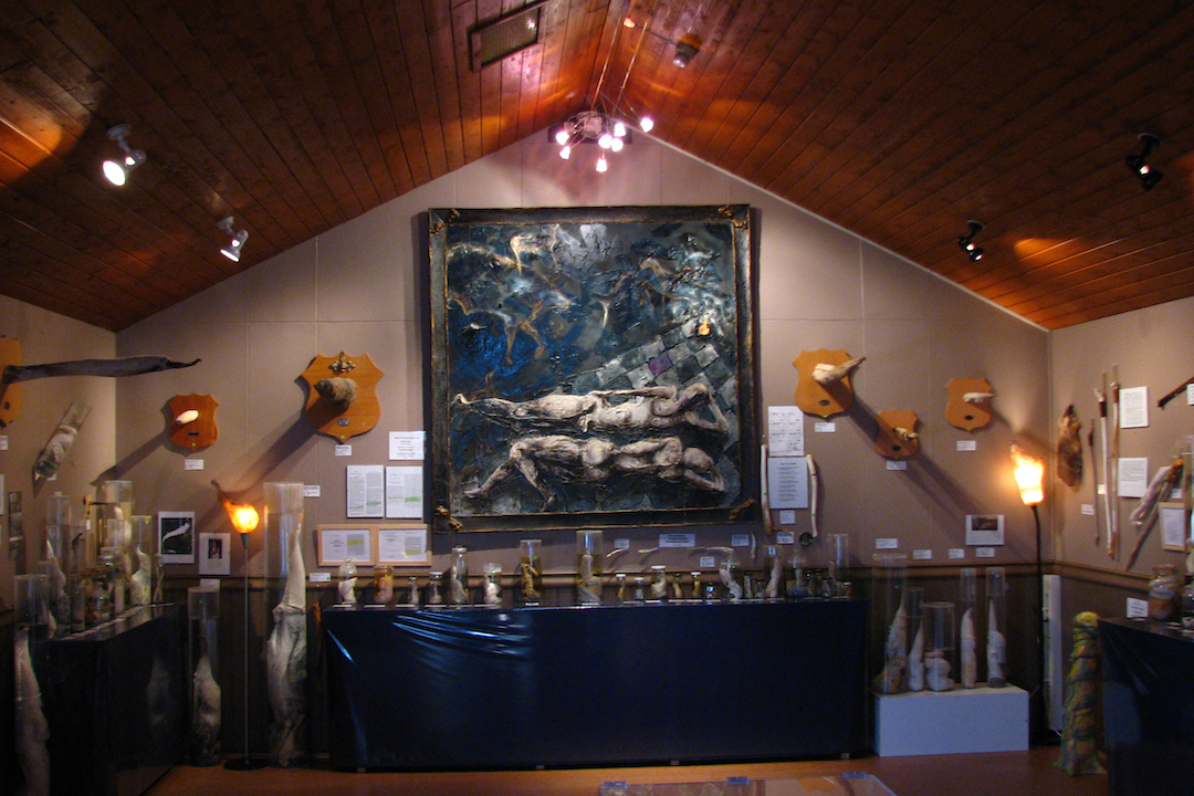 Phallological-Museum-Iceland