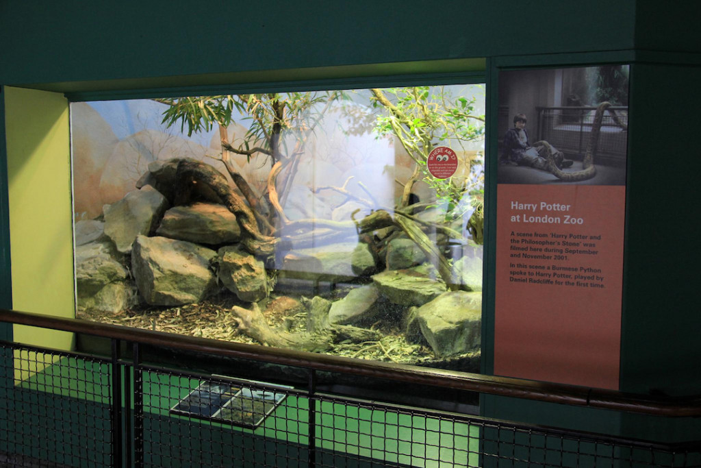 Reptile-House-London-Zoo-Harry-Potter