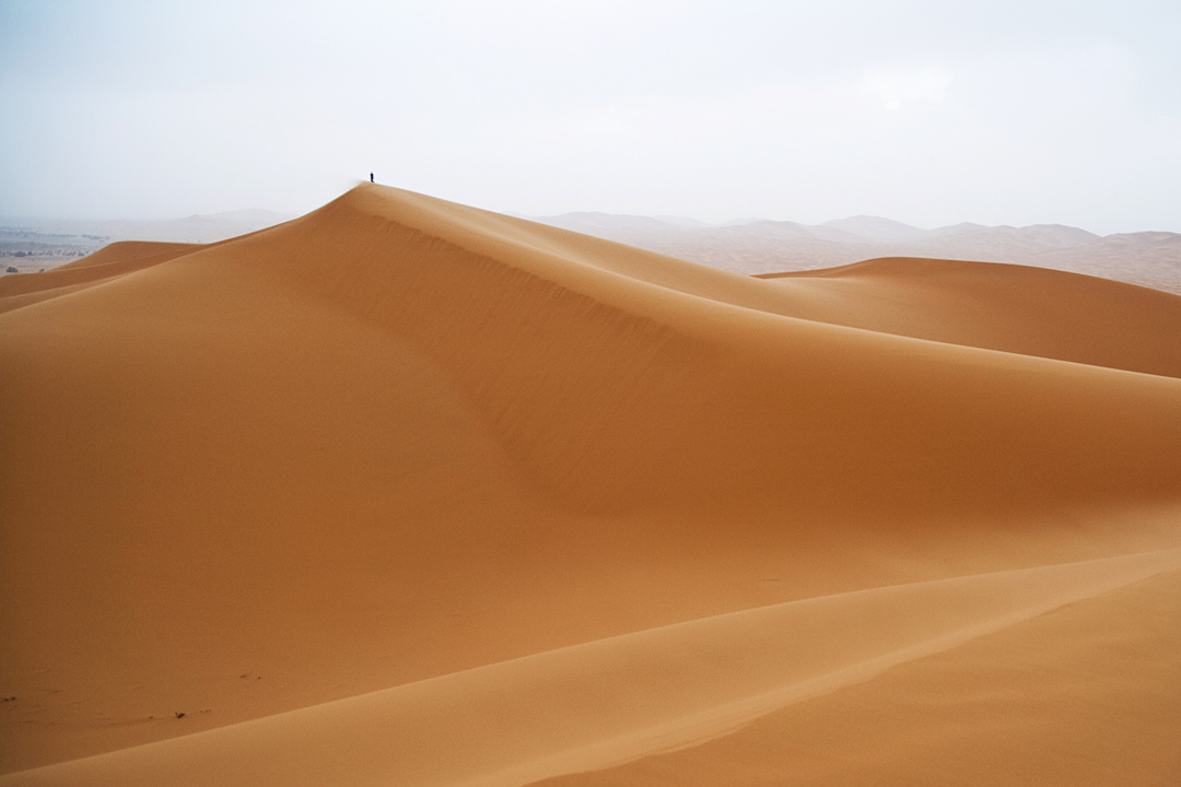 Sahara-Desert