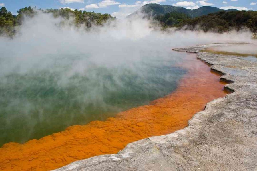 Rotorua NZ