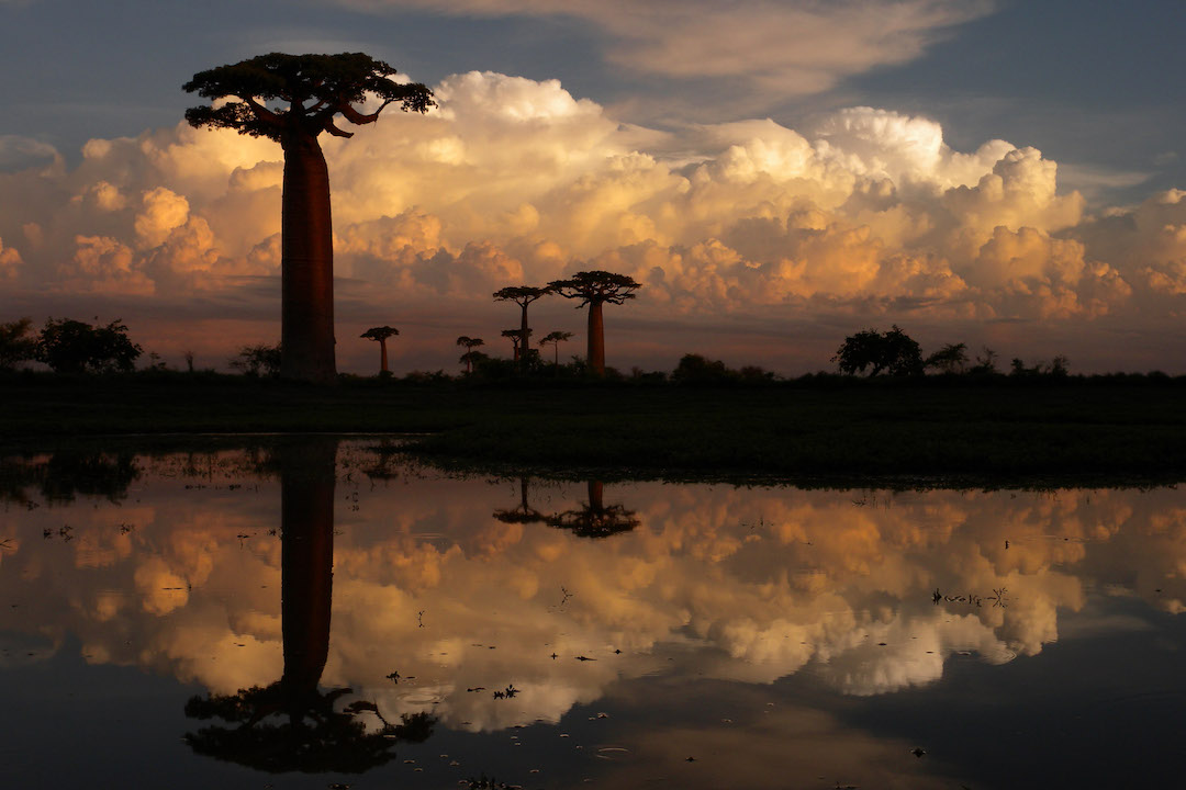 Madagascar