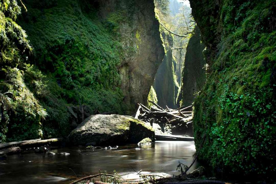 Oneonta Gorge
