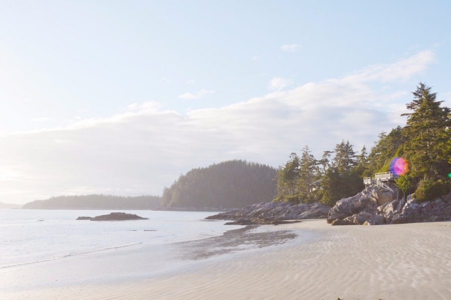 Tofino