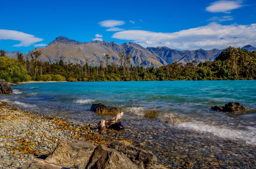 New-Zealand