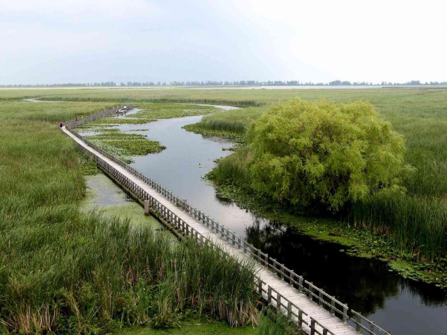 Point Pelee National Park