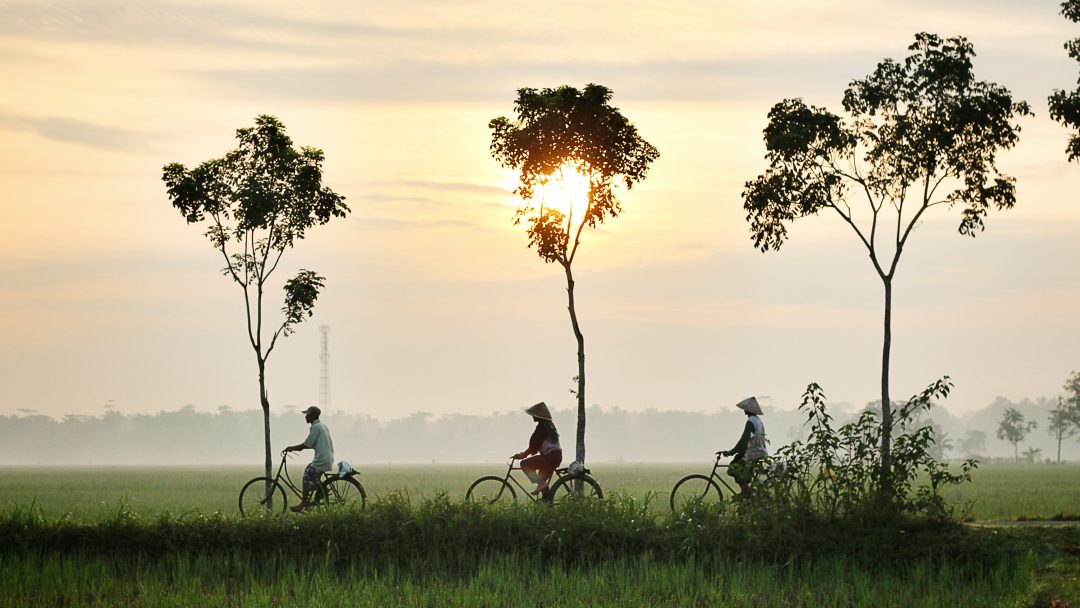 Indonesia vs Vietnam: Your Guide to Choosing