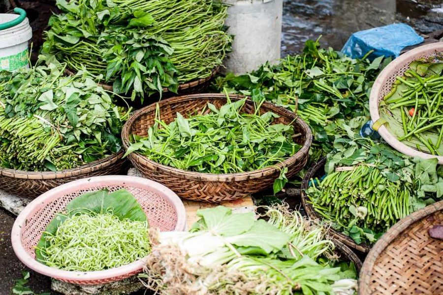 herbs