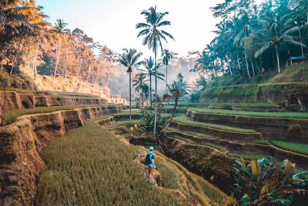 Bali vs. Hawaii: Which Island Escape Is For You?
