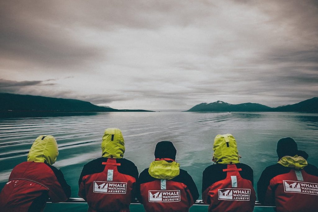 A group of people looking out at the sea in hopes of seeing a whale