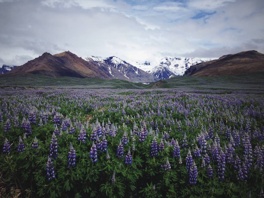 Iceland in Summer Vs Winter