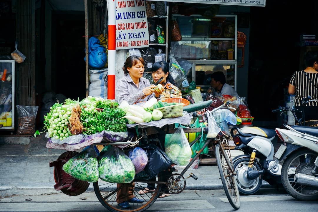 Should I visit Vietnam