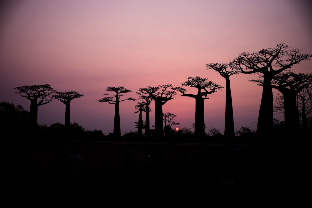 Galapagos Vs Madagascar