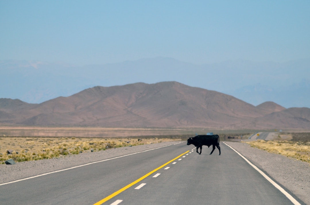 south america bucket list 