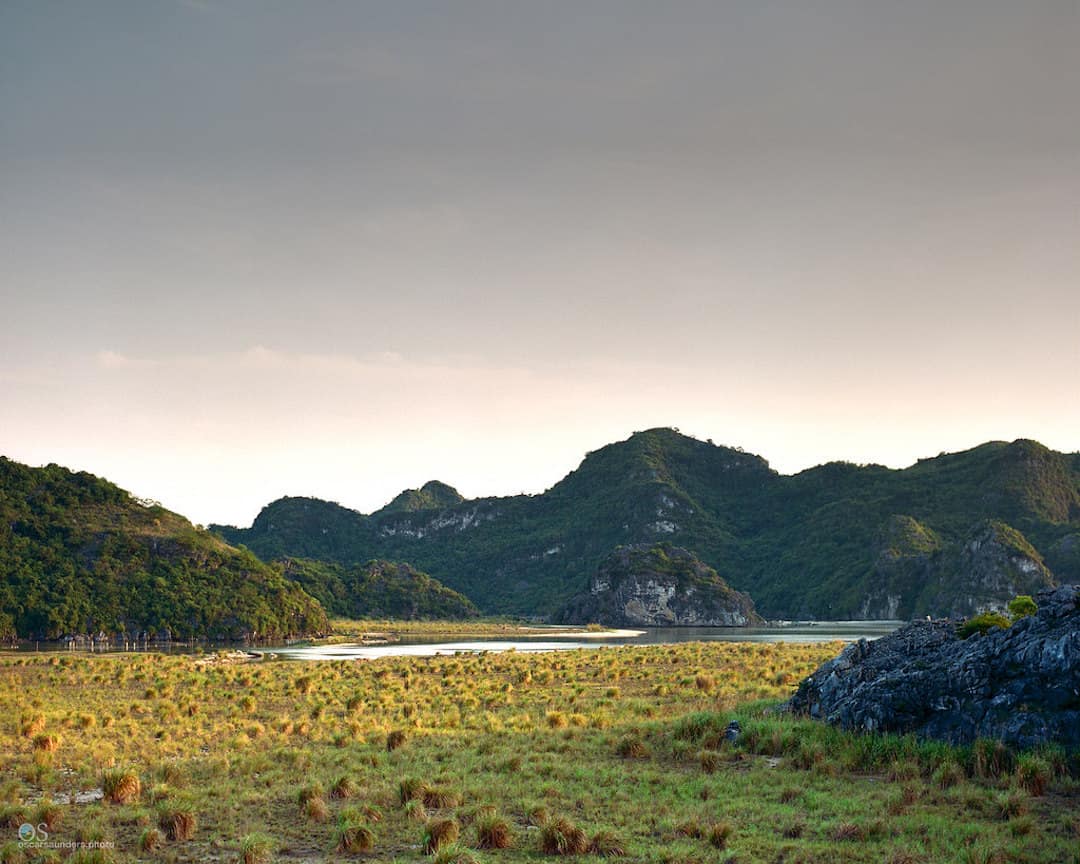 Vietnam
