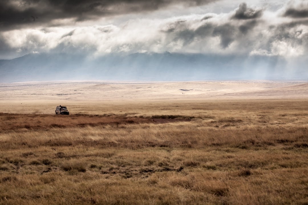 What to Pack for a Safari Tour in Tanzania