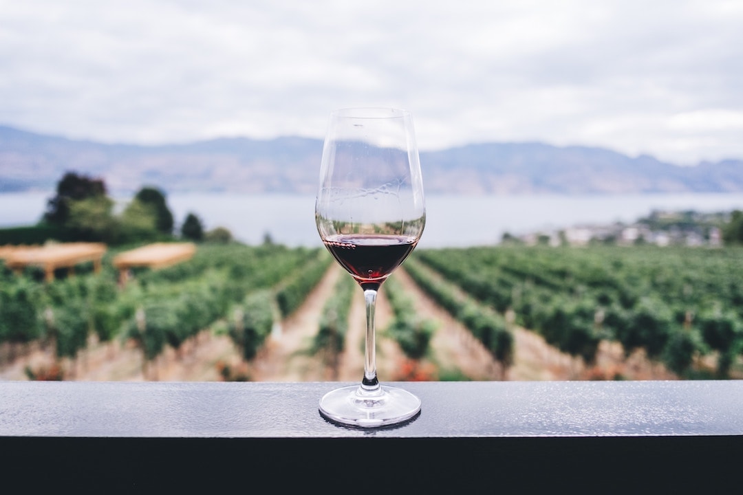 What to Expect on a Wine Tour
