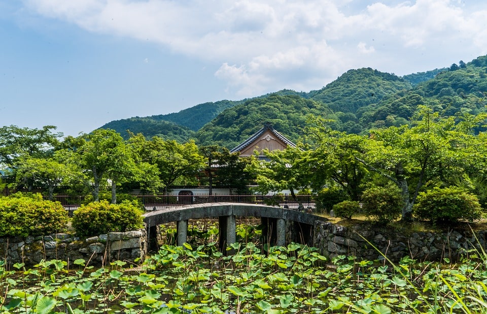 a small bridge crosses over a lily pond against a backdrop of mountains