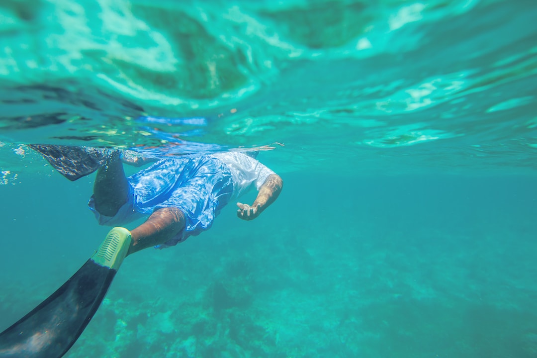 Snorkelling diving Dominican Republic