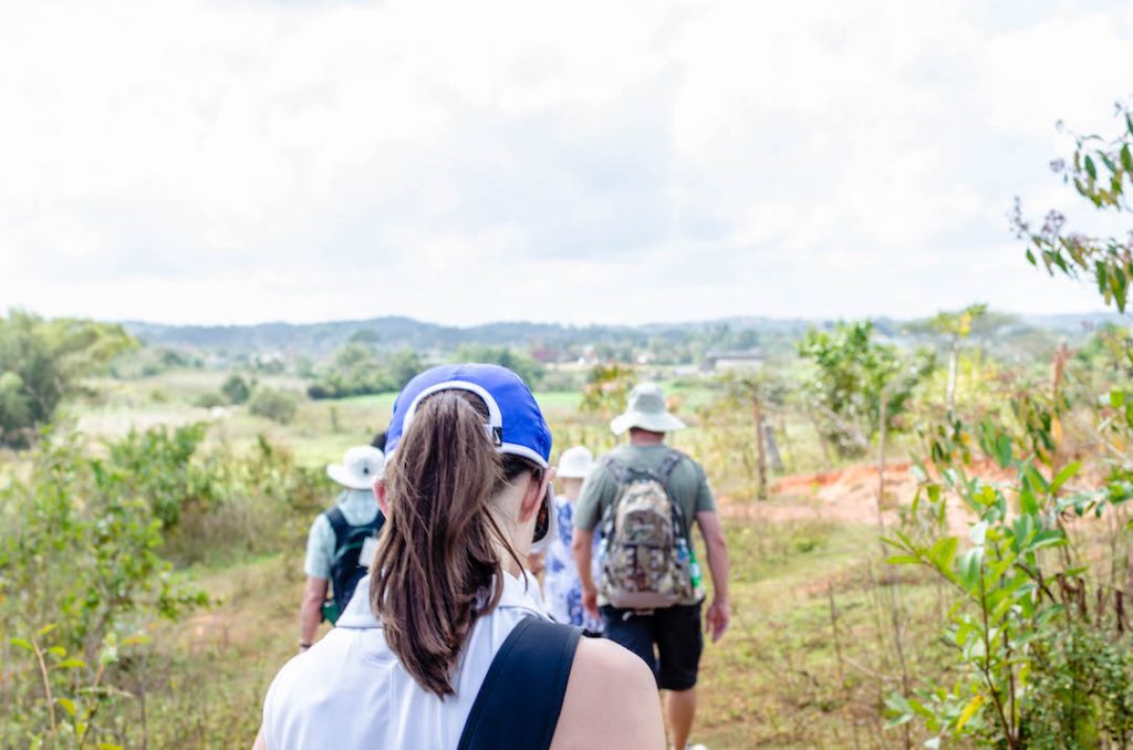questions about group tours
