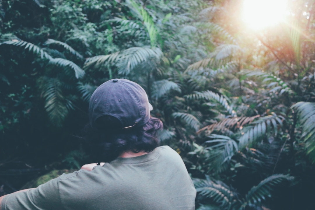 costa rica on a budget