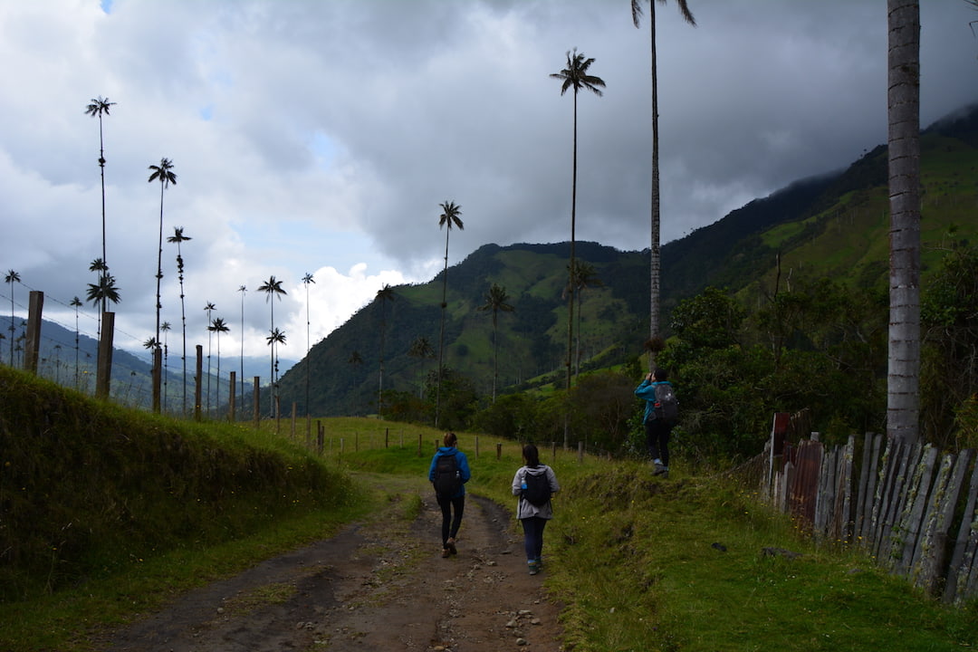 Coffee tours in Colombia