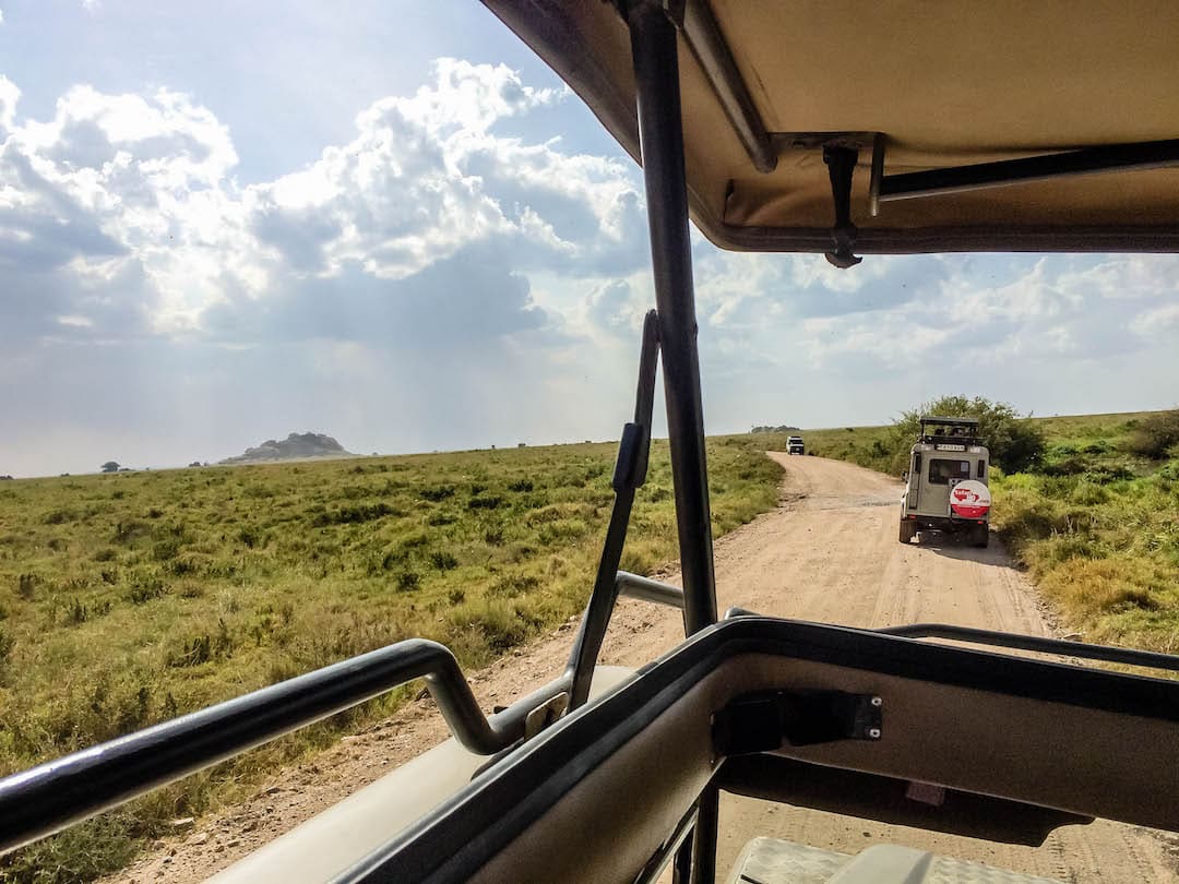 12 Things I Wish I Knew Before Visiting Tanzania on a Safari Tour