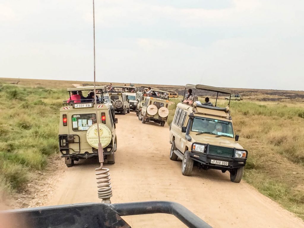 Tanzania on a Safari Tour