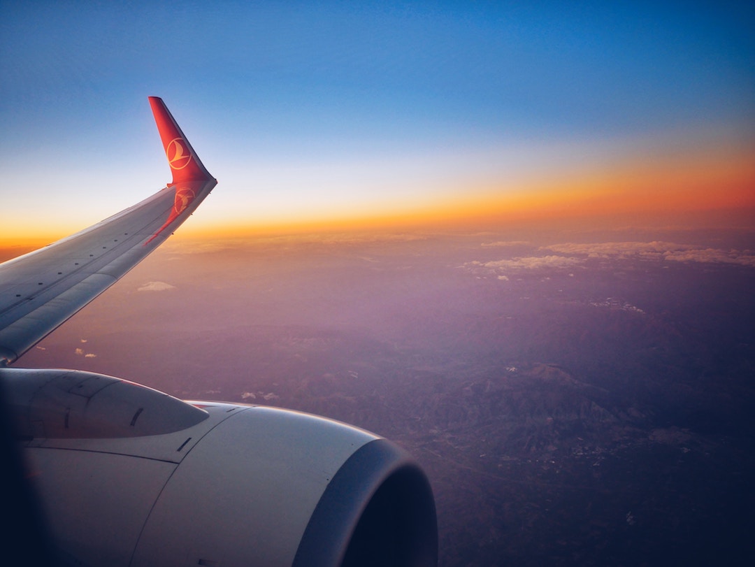 The 20 Most Pet-Friendly International Airlines Ranked