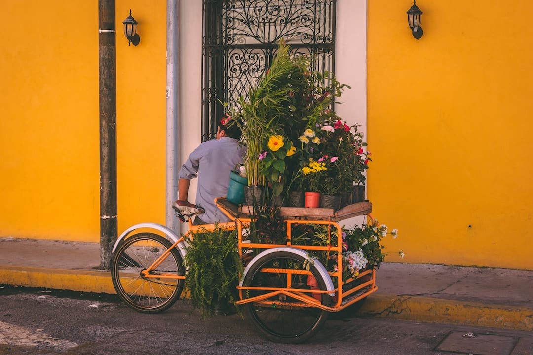 Merida- Two Weeks in Mexico