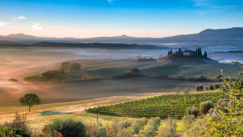 Mist carries across a beautiful vineyard in Tuscany