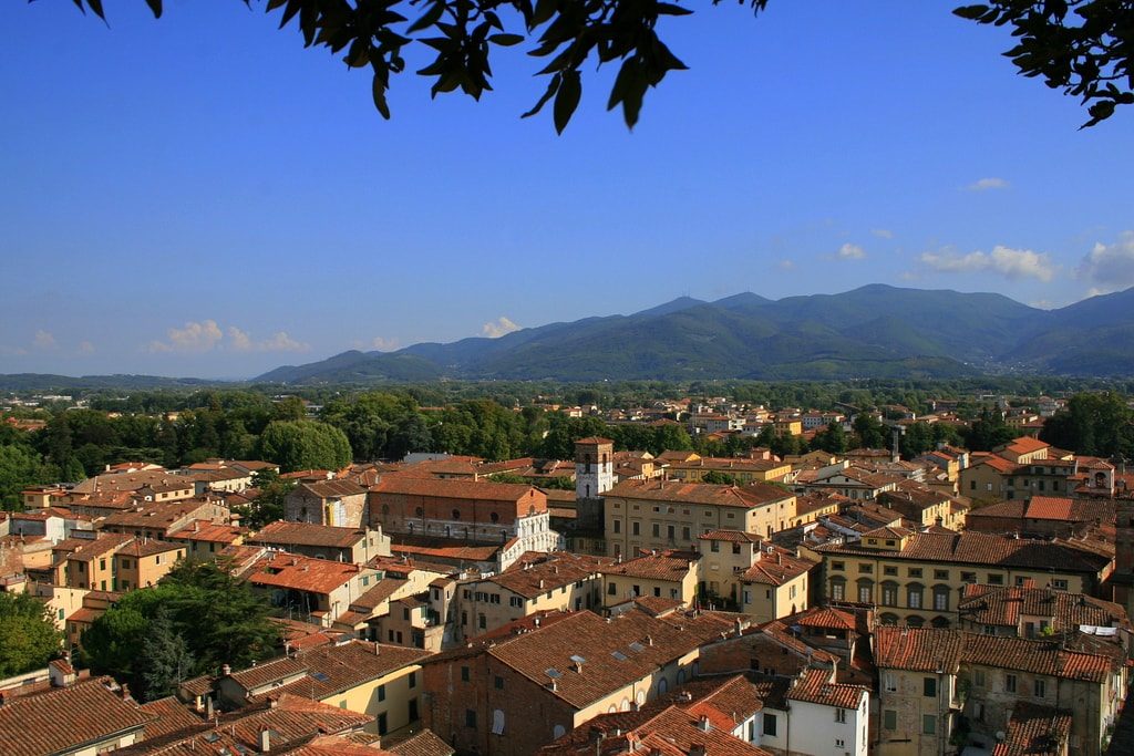 View from Torre Guinigi (Lucca) Taken in the ancient walled city of Lucca, Tuscany in Italy