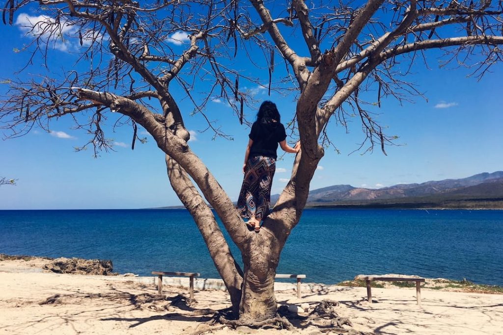 Girl stands in a tree looking out across the stunning bay of La Boca in Trinidad