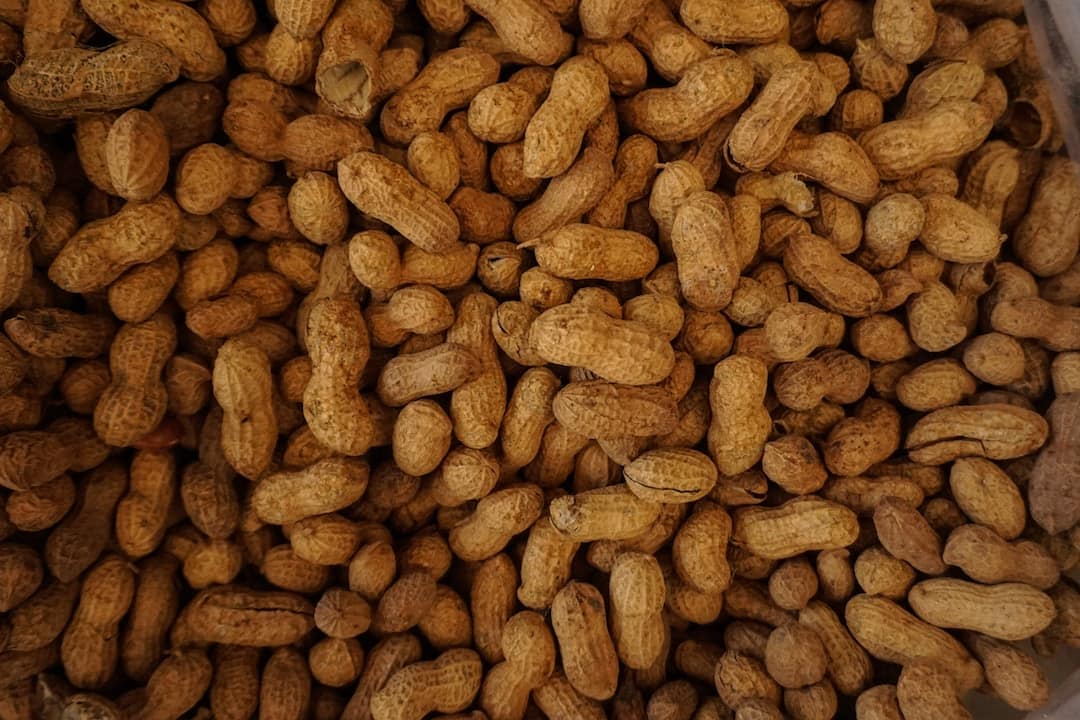 Traveling with a Nut Allergy: Everything You Need to Know