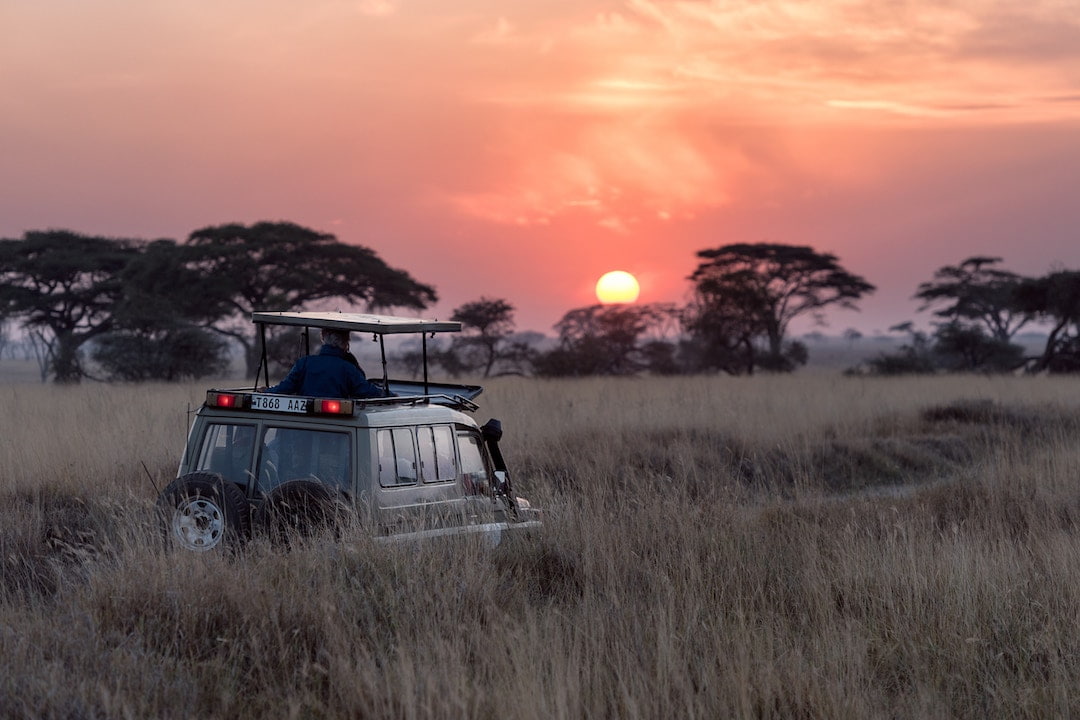 safari- south africa vs tanzania
