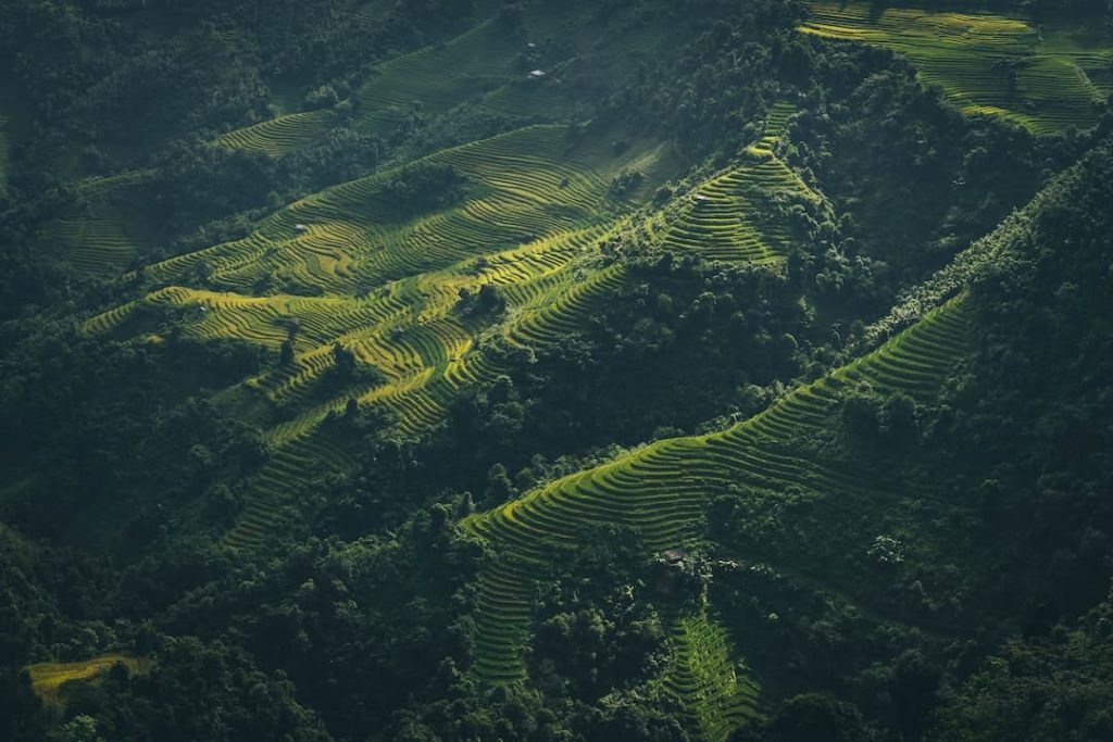 Bird's eye view of layered green rice terraces in Dong Van Province, Vietnam