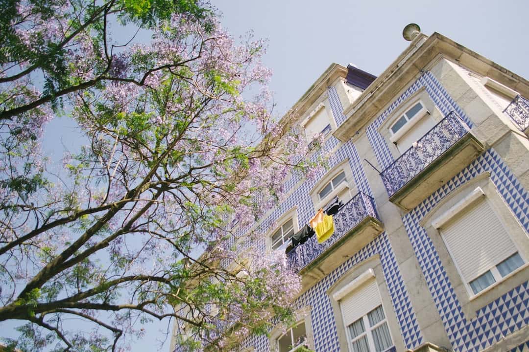 The 10 Best Instagram Accounts to Discover Portugal