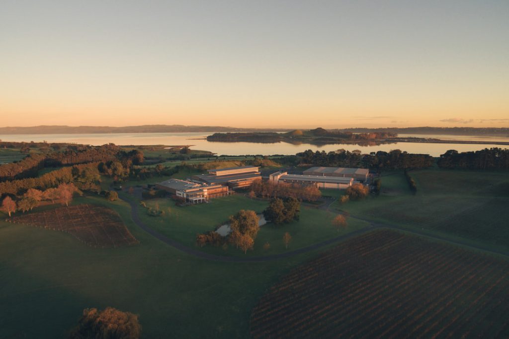 villa maria estate winery auckland_aerial