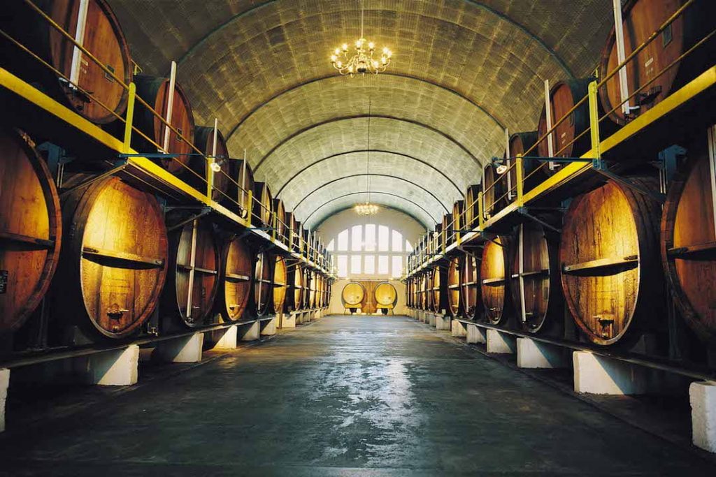 rows of barrels in a winery in South Africa