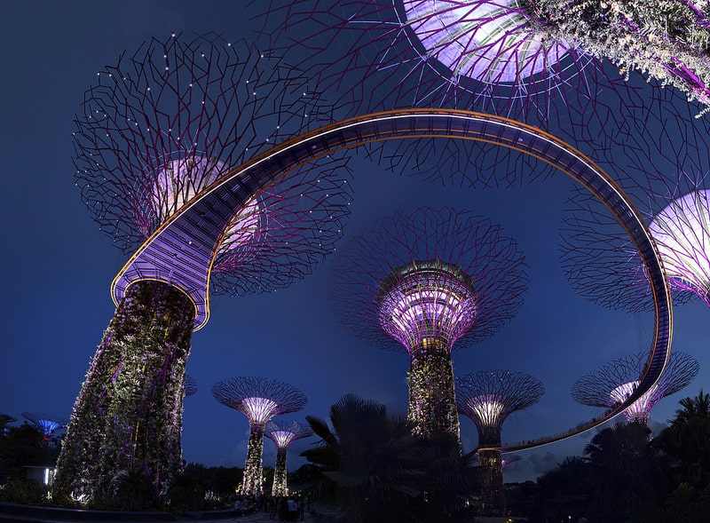 Illuminated Supertrees, Gardens by the Bay, Singapore